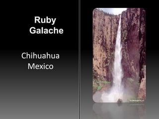 Ruby GalacheChihuahuaMexico