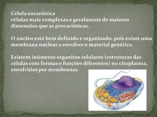 Célula eucarióticacélulas mais complexas e geralmente de maiores dimensões que as procarióticas. O núcleo está bem definido e organizado, pois existe uma membrana nuclear a envolver o material genético. Existem inúmeros organitos celulares (estruturas das células com formas e funções diferentes) no citoplasma, envolvidos por membranas.