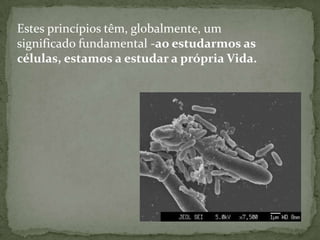 Estes princípios têm, globalmente, um significado fundamental -ao estudarmos as células, estamos a estudar a própria Vida.