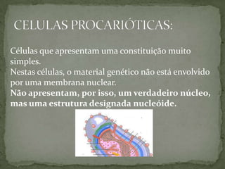 Células que apresentam uma constituição muito simples. Nestas células, o material genético não está envolvido por uma membrana nuclear. Não apresentam, por isso, um verdadeiro núcleo, mas uma estrutura designada nucleóide.CELULAS PROCARIÓTICAS: