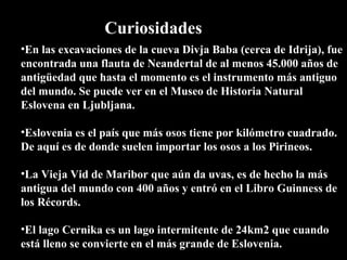 En las excavaciones de la cueva Divja Baba (cerca de Idrija), fue encontrada una flauta de Neandertal de al menos 45.000 años de antigüedad que hasta el momento es el instrumento más antiguo del mundo. Se puede ver en el Museo de Historia Natural Eslovena en Ljubljana. Eslovenia es el país que más osos tiene por kilómetro cuadrado. De aquí es de donde suelen importar los osos a los Pirineos. La Vieja Vid de Maribor que aún da uvas, es de hecho la más antigua del mundo con 400 años y entró en el Libro Guinness de los Récords. El lago Cernika es un lago intermitente de 24km2 que cuando está lleno se convierte en el más grande de Eslovenia. Curiosidades 