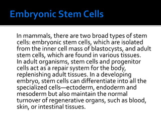 In mammals, there are two broad types of stem
cells: embryonic stem cells, which are isolated
from the inner cell mass of blastocysts, and adult
stem cells, which are found in various tissues.
In adult organisms, stem cells and progenitor
cells act as a repair system for the body,
replenishing adult tissues. In a developing
embryo, stem cells can differentiate into all the
specialized cells—ectoderm, endoderm and
mesoderm but also maintain the normal
turnover of regenerative organs, such as blood,
skin, or intestinal tissues.
 