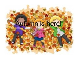 Autumn is here!
 