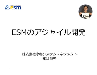 1
ESMのアジャイル開発
株式会社永和システムマネジメント
平鍋健児
 