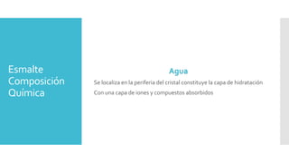 Esmalte
Composición
Química
Agua
Se localiza en la periferia del cristal constituye la capa de hidratación
Con una capa de iones y compuestos absorbidos
 