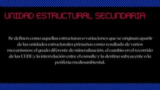 UNIDAD ESTRUCTURAL SECUNDARIA
Se definen como aquellas estructuras o variaciones que se originan apartir
de las unidades estructurales primarias como resultado de varios
mecanismos: el grado diferente de mineralización, el cambio en el recorrido
de las UEBE y la interrelación entre el esmalte y la dentina subyacente o la
periferia medioambiental.
 