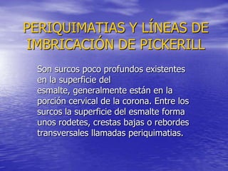 PERIQUIMATIAS Y LÍNEAS DE
IMBRICACIÓN DE PICKERILL
 Son surcos poco profundos existentes
 en la superficie del
 esmalte, generalmente están en la
 porción cervical de la corona. Entre los
 surcos la superficie del esmalte forma
 unos rodetes, crestas bajas o rebordes
 transversales llamadas periquimatias.
 