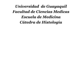 Universidad de Guayaquil
Facultad de Ciencias Medicas
Escuela de Medicina
Cátedra de Histología
 