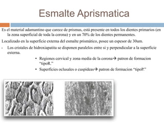 Esmalte Aprismatica
Es el material adamantino que carece de prismas, está presente en todos los dientes primarios (en
la zona superficial de toda la corona) y en un 70% de los dientes permanentes.
Localizado en la superficie externa del esmalte prismático, posee un espesor de 30um.
• Los cristales de hidroxiapatita se disponen paralelos entre si y perpendicular a la superficie
externa.
• Regiones cervical y zona media de la corona patron de formacion
“tipoR.”
• Superficies oclusales o cuspideas patron de formacion “tipoP.”
 