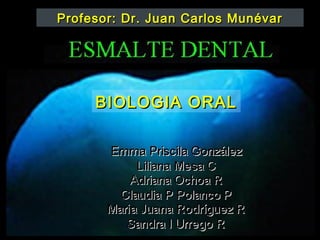 Profesor: Dr. Juan Carlos Munévar




     BIOLOGIA ORAL
 