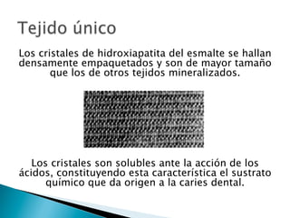 Los cristales de hidroxiapatita del esmalte se hallan
densamente empaquetados y son de mayor tamaño
que los de otros tejidos mineralizados.
Los cristales son solubles ante la acción de los
ácidos, constituyendo esta característica el sustrato
químico que da origen a la caries dental.
 