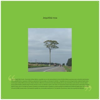 Jequitibá rosa
‘‘
‘‘Cariniana legalis (Mart.) Kuntze - Árvore típica da Mata Atlântica, o jequitibá-rosa é um dos representantes da mesma família lecitidácea, que possui outros conhecidos representantes,
como o jequitibá-branco, a sapucaia e a imbirema, e apresenta um fruto seco típico, em formato de cachimbo . O jequitibá-rosa ocorre ao longo de todo o estado do Espírito Santo,
nas formações da Mata Atlântica de Encosta e Mata de Tabuleiro e diferencia-se das demais árvores dessas ﬂorestas pela sua copa característica e porte elevado. É uma das maiores
árvores da ﬂora brasileira, podendo atingir 50 metros de altura e tronco com diâmetro superior a sete metros. Um representante clássico dessa espécie pode ser observado às margens
da BR 101 Norte, entre os municípios de Linhares e Sooretama. Sua importância para os capixabas se comprova quando foi escolhida árvore símbolo do Espírito Santo Lei Estadual Nº
6.146, de 9/2/2000), havendo ainda, o Dia Estadual do Jequitibá rosa, comemorado anualmente em 21 de setembro, Dia da árvore, e dentro do seu período de frutiﬁcação.
 