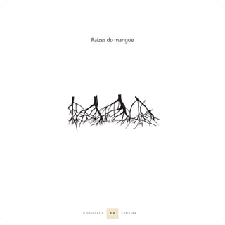 15 5I C O N O G R A F I A C A P I X A B A
Raízes do mangue
 