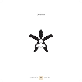 16 5I C O N O G R A F I A C A P I X A B A
Orquídea
 