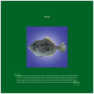 Peroá
‘‘
‘‘O peroá ou peixe-porco é uma espécie de peixe demerso-pelágica com ampla distribuição geográﬁca, ocorre desde Nova Scotia (Canadá) até Argentina,
bem como na costa sudoeste da África. Na costa brasileira, a espécie é encontrada em maior abundância do sul da Bahia até o Rio Grande do Sul, sendo
bastante comum na costa do Espírito Santo, Rio de Janeiro e São Paulo onde a pesca é mais intensa. Na prática, existem duas qualidades de peroá: o
peroá-preto (Balistes vetula) e o peroá-branco (Balistes capriscus), sendo mais comum no Estado o peroá-branco, considerado o de melhor qualidade
devido à consistência e à maciez da carne. O sabor e a textura da carne branca desse peixe são uma marca para todos que frequentam o litoral capixaba.
 