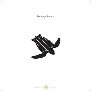 17 5I C O N O G R A F I A C A P I X A B A
Tartaruga de couro
 