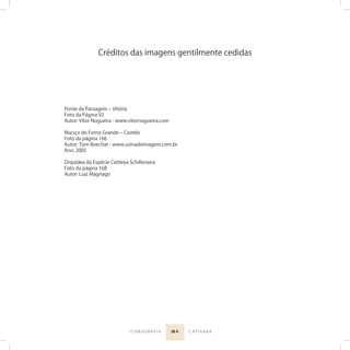 20 4I C O N O G R A F I A C A P I X A B A
Créditos das imagens gentilmente cedidas
Ponte da Passagem ‒ Vitória
Foto da Página 92
Autor: Vitor Nogueira - www.vitornogueira.com
Maciço do Forno Grande ‒ Castelo
Foto da página 166
Autor: Tom Boechat - www.usinadeimagem.com.br
Ano: 2005
Orquídea da Espécie Cattleya Schilleriana
Foto da página 168
Autor: Luiz Magnago
 