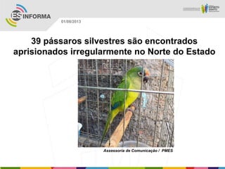 Assessoria de Comunicação / PMES
01/08/2013
39 pássaros silvestres são encontrados
aprisionados irregularmente no Norte do Estado
 