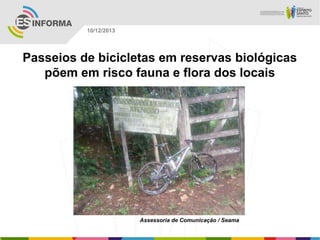 10/12/2013

Passeios de bicicletas em reservas biológicas
põem em risco fauna e flora dos locais

Assessoria de Comunicação / Seama

 