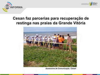Cesan faz parcerias para recuperação de
restinga nas praias da Grande Vitória
Assessoria de Comunicação / Cesan
 