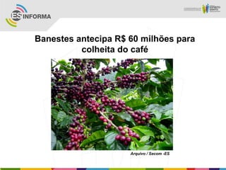 Banestes antecipa R$ 60 milhões para
          colheita do café




                     Arquivo / Secom -ES
 