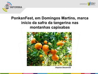 PonkanFest, em Domingos Martins, marca
início da safra da tangerina nas
montanhas capixabas
Arquivo Secom-ES
 
