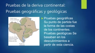 Pruebas de la deriva continental:
Pruebas geográficas y geológicas
Pruebas geográficas
Su punto de partida fue
la forma de las costas
de los continentes.
Pruebas geológicas Se
basaban en los
descubrimientos a
partir de esta ciencia.