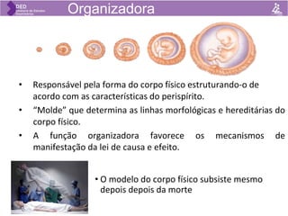 • O modelo do corpo físico subsiste mesmo
depois depois da morte
Organizadora
• Responsável pela forma do corpo físico estruturando-o de
acordo com as características do perispírito.
• “Molde” que determina as linhas morfológicas e hereditárias do
corpo físico.
• A função organizadora favorece os mecanismos de
manifestação da lei de causa e efeito.
 