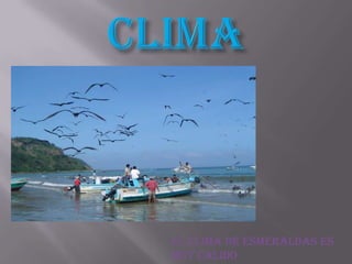 EL CLIMA DE ESMERALDAS ES
MUY CALIDO
 