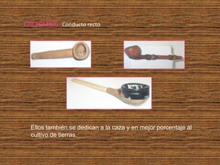 CACHIMBA.- Conducto recto




  Ellos también se dedican a la caza y en mejor porcentaje al
  cultivo de tierras.
 