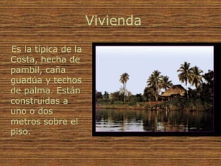 Vivienda

Es la típica de la
Costa, hecha de
pambil, caña
guadúa y techos
de palma. Están
construidas a
uno o dos
metros sobre el
piso.
 