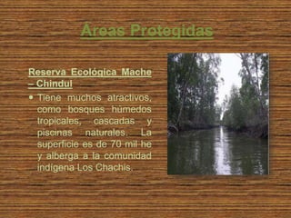 Áreas Protegidas

Reserva Ecológica Mache
– Chindul
 Tiene muchos atractivos,
  como bosques húmedos
  tropicales, cascadas y
  piscinas naturales. La
  superficie es de 70 mil he
  y alberga a la comunidad
  indígena Los Chachis.
 