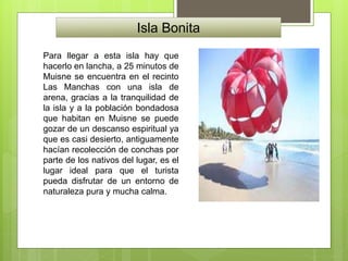 Isla Bonita
Para llegar a esta isla hay que
hacerlo en lancha, a 25 minutos de
Muisne se encuentra en el recinto
Las Manchas con una isla de
arena, gracias a la tranquilidad de
la isla y a la población bondadosa
que habitan en Muisne se puede
gozar de un descanso espiritual ya
que es casi desierto, antiguamente
hacían recolección de conchas por
parte de los nativos del lugar, es el
lugar ideal para que el turista
pueda disfrutar de un entorno de
naturaleza pura y mucha calma.
 