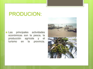 PRODUCION:
 Las principales actividades
económicas son la pesca, la
producción agrícola y el
turismo en la provincia.
 