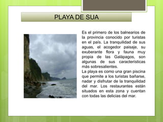 PLAYA DE SUA
Es el primero de los balnearios de
la provincia conocido por turistas
en el país. La tranquilidad de sus
aguas, el acogedor paisaje, su
exuberante flora y fauna muy
propia de las Galápagos, son
algunas de sus características
más sobresalientes.
La playa es como una gran piscina
que permite a los turistas bañarse,
nadar y disfrutar de la tranquilidad
del mar. Los restaurantes están
situados en esta zona y cuentan
con todas las delicias del mar.
 