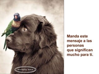 Manda este mensaje a las personas  que significan mucho para ti. 