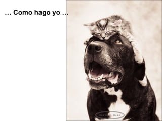 …  Como hago yo  … 