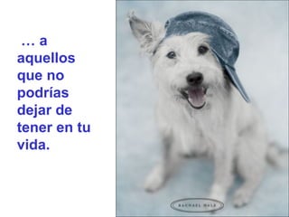 …   a aquellos que no podrías dejar de tener en tu vida.  