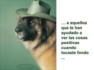 …   a aquellos que te han ayudado a ver las cosas positivas  cuando tocaste fondo ... 