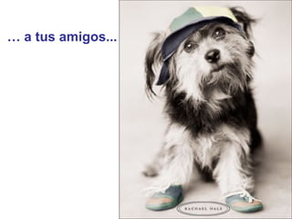 …  a tus amigos...   