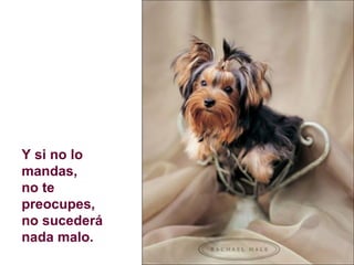 Y si no lo mandas,  no te preocupes,  no sucederá nada malo. 