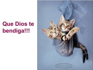 Que Dios te bendiga!!! 