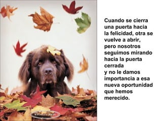 Cuando se cierra una puerta hacia  la felicidad, otra se vuelve a abrir, pero nosotros seguimos mirando  hacia la puerta cerrada y no le damos importancia a esa  nueva oportunidad que hemos merecido.  