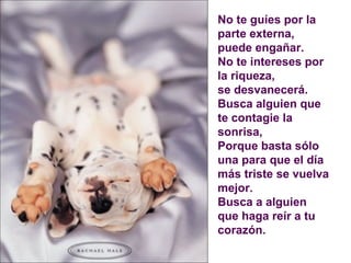 No te guíes por la parte externa,  puede engañar . No te intereses por la riqueza,  se desvanecerá.  Busca alguien que te contagie la sonrisa,  Porque basta sólo una para que el día  más triste se vuelva mejor. Busca a alguien que haga reír a tu corazón. 