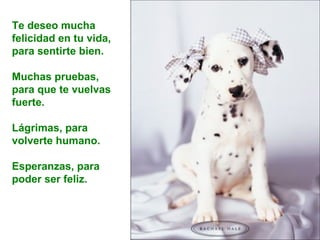 Te deseo mucha felicidad en tu vida,  para sentirte bien. Muchas pruebas, para que te vuelvas fuerte. Lágrimas, para volverte humano. Esperanzas, para poder ser feliz. 