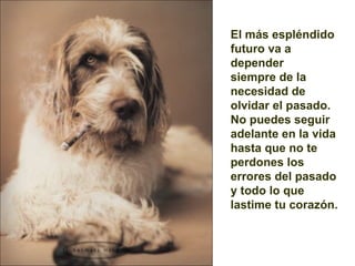 El más espléndido futuro va a depender siempre de la necesidad de  olvidar el pasado. No puedes seguir adelante en la vida  hasta que no te perdones los errores del pasado  y todo lo que  lastime tu corazón . 