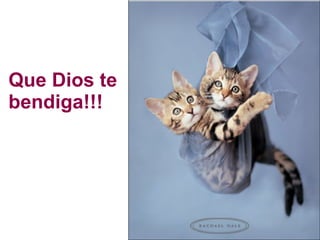Que Dios te bendiga!!! 