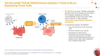 The DLL3/CD3 TCE BI 764532 Directs Cytolytic T Cells to DLL3-
Expressing Tumor Cells
• BI 764532 is a novel, half-life–extended,
IgG-like TCE that induces the formation
of a cytolytic synapse by binding
concomitantly to DLL3 on tumor cells
and to CD3 on T cells, thereby
selectively targeting DLL3-positive
neoplasms
• In preclinical studies, BI 764532:
• Induced cytotoxicity of DLL3-positive
cells
• Potently inhibited tumor growth
• Modulated the inflammatory
environment in the tumor tissue by
redirecting CD4-positive and CD8-
positive T-cell cytotoxicity toward DLL3-
positive SCLC cells, without affecting
DLL3-negative target cells
This is an investigational compound and has not been approved. Its safety and efficacy have not been established yet.
CD = cluster of differentiation; DLL3 = delta-like ligand 3; IgG = immunoglobulin G; SCLC = small cell lung cancer; TCE = T-cell engager.
Hipp S, et al. Clin Cancer Res. 2020;26(19):5258–5268.
.
Active T-cell
Inactive T-cell
Tumor cell
DLL3/CD3
bispecific
antibody
CD3
DLL3
CD3 Cytolytic
synapse
Cytolytic
granules
DLL3
DLL3/CD3 bispecific
antibody
 