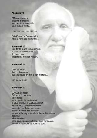 Poema nº 9

CAI a neve cai cai
falopiña a falopiña
nin o vento a arremuíña
nin a auga a desfai.

....................

Cido Castro de Brío nevados!
baixa a neve ate os prados …


Poema nº 10
Esta tarde o aire é meu amigo.
Voume sumindo sumindo.
Si o aire quer
chegarein a non ser niguén.


Poema nº 11

CAIN as follas...
Sinto unha cousa
que se apousa en min e non me toca...

Son eu ou é ela?


Poema nº 12

COUSOS do lobo!
Caborcos do xabarín!
Eidos solos
onde niguén foi nin ha d'ir!
O lobo! Os ollos o lombo do lobo!
Baixa o lobo polo ollo do bosco
movendo nas flairas dos teixos
ruxindo na folla dos carreiros
en busca da vagoada máis sola e máis medosa...
Rastrexa
párase e venta
finca a pouta ergue a testa e oula cara o ceo
con toda a sombra da noite na boca.
 