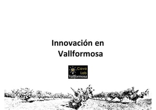 Innovación en
Vallformosa
 